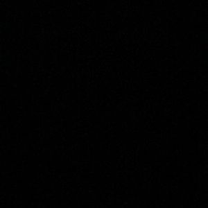 Meet your Posher, Rose